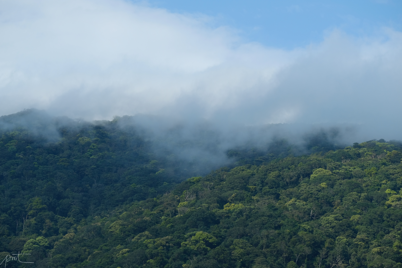 Bac Huong Hoa Nature Reserve
